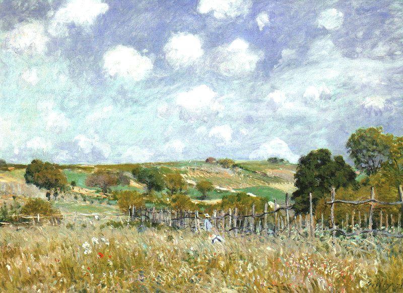 Alfred Sisley Meadow China oil painting art